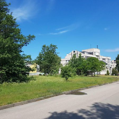 Cozy Seaside Studio Palanga Exterior photo